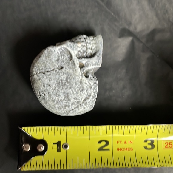 ✨ Host Pick! Mini Skulls for Aquarium or Halloween decoration (set of three)✨ - Picture 4 of 6